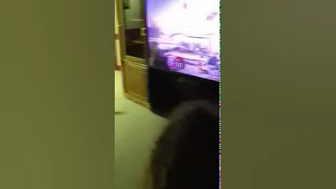 Kim brendel plays super smash brothers brawl