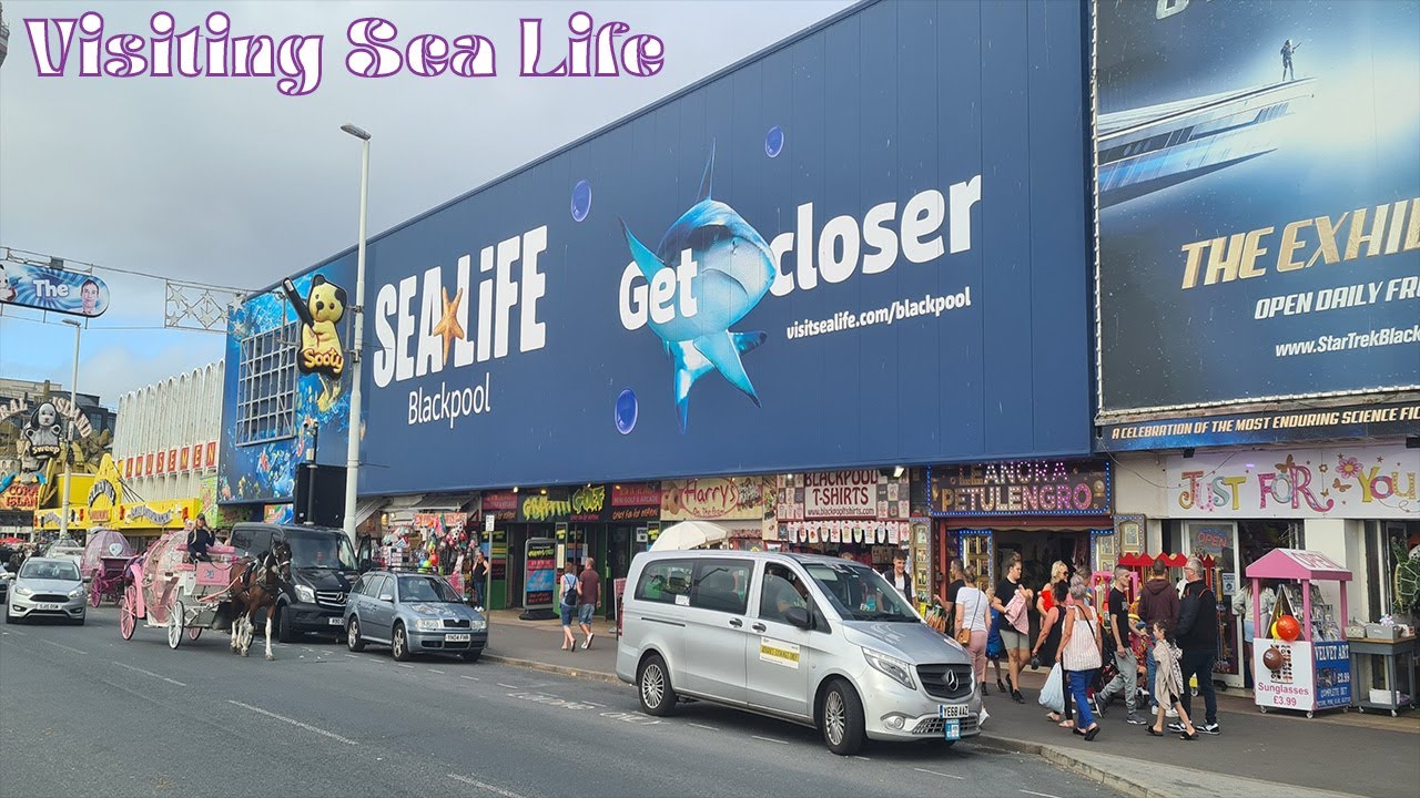 EXPLORING SEA LIFE BLACKPOOL | FEBRUARY 2025 VLOG ADVENTURE!