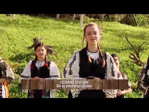 De-as avea aripi sa zbor
