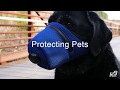 K9 Mask Air Filter for Dogs