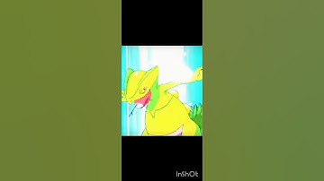 This treeko to grovyle and sceptile