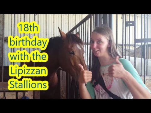 Roadschool Life | Lipizzan stallion 18th birthday