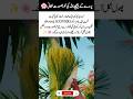 Hidden Beauty Behind the Cover 🌸#AllahKiQudrat #NatureBeauty #IslamicReminder #Shorts #ViralVideo