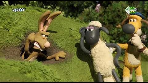 Shaun het schaap - Wie Is De Haan