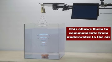 Wireless communication breaks through water-air barrier