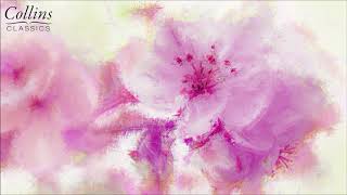 Franz Schubert - Octet in F Major, D. 803: V. Menuetto allegretto