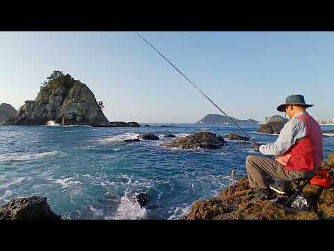 오륙도 너울 파도~? 오륙도 너울 파도~?