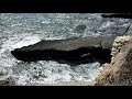 Davenport Beach, Cali