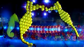 TurboBeads: Seahorse Tutorial
