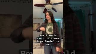 I Would Actually Have A Heart Attack If A Praying Mantis Was On Me