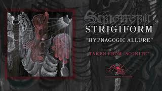 Strigiform - Hypnagogic Allure