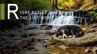 Right Beside You When the Task List Won't End screenshot 3