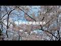 2019神魂神社参道桜並木