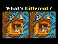 Find The Difference | Puzzle Masters Only | Train Your Brain | Captain Detective