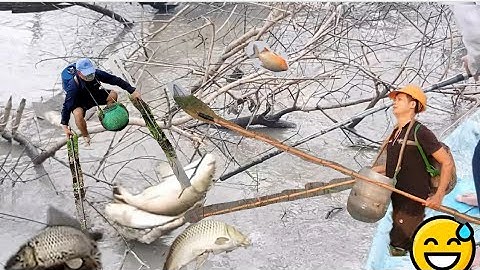 Kích Cá Rô Phi, Cá Lóc Khi Trời Đang Bão Lớn Và Cái Kết - Kích Cá 25d Chung Đội