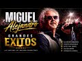 Miguel Conejito Alejandro Exitos de Oro