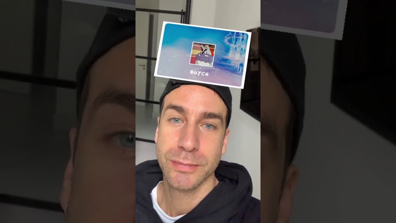 Which Disney Dog Are You - Instagram filter