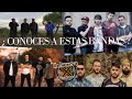 Conoces a estas bandas   corocksivo conciertos 