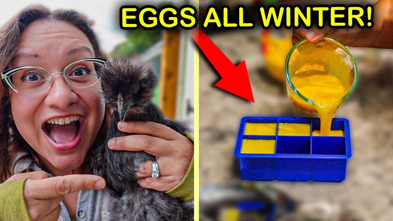 The EASIEST Way to Preserve Eggs 🍳