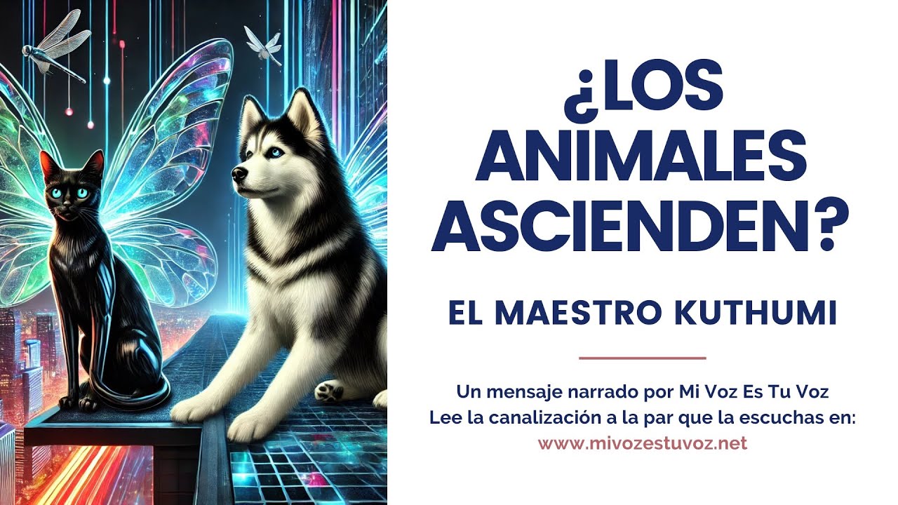 ¿LOS ANIMALES ASCIENDEN? | Una canalización del maestro Kuthumi
