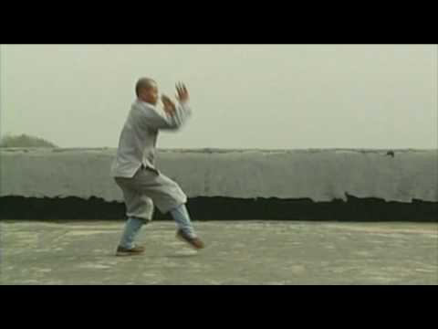 Shaolin Tong Bi Quan