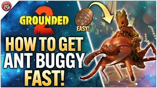 Grounded 2 - How To Unlock The Ant Buggy FAST!
