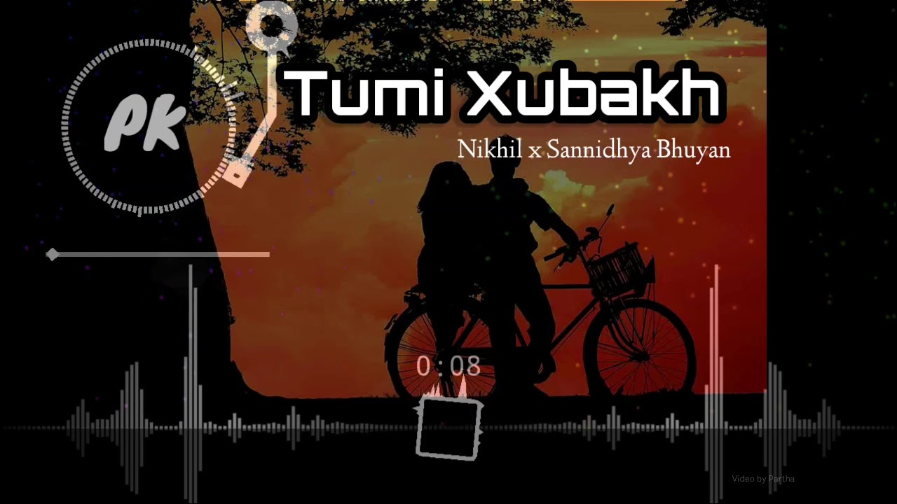 Nikhil Sannidhya Bhuyan  Tumi Xubaxh feat Nibir X Visualizer