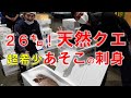 【超希少部位】クエのア・ソ・コの刺身