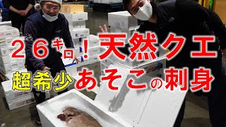 【超希少部位】クエのア・ソ・コの刺身