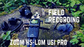 ZOOM H5 and LOM USI PRO mic | Forest Ambience Sounds Birds, Bees and Bugs | Field Recording #ASMR