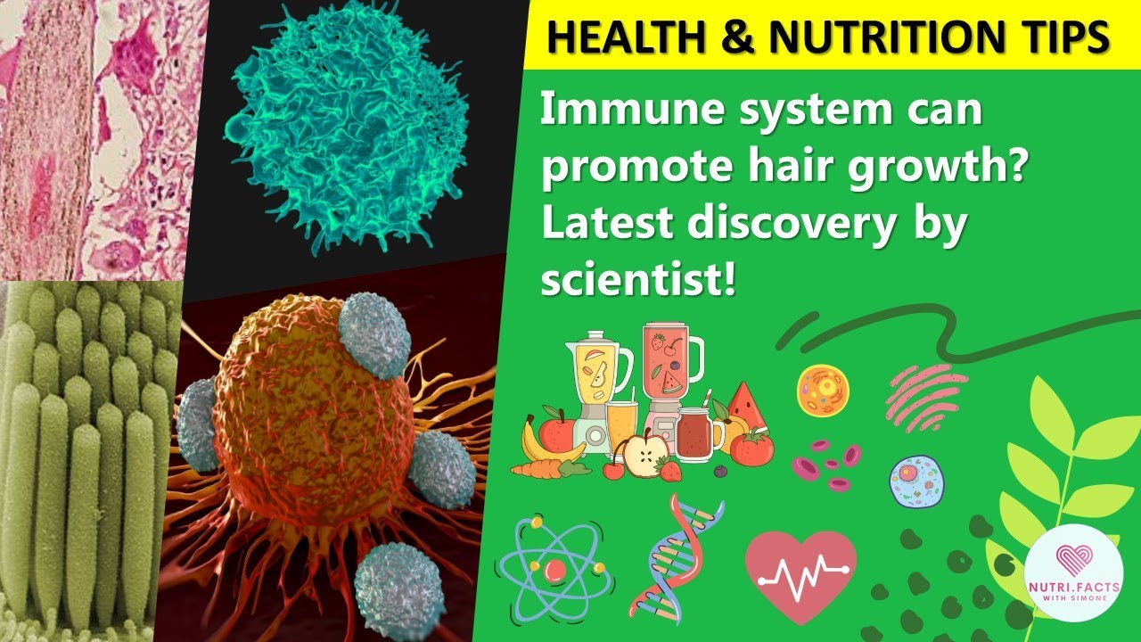 Immune system can promote hair growth? Latest discovery by scientist!