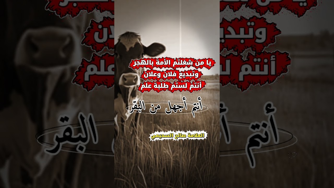 يا من شغلتم الأمة بالهجر وتبديع فلان وعلان أنتم لستم طلبة علم.. أنتم أجهل من البقر ! |د.صالح السحيمي