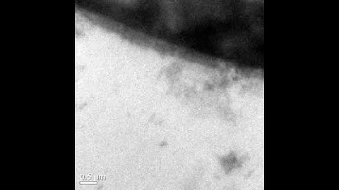 Lithium Dendritic Growth in Li ion battery