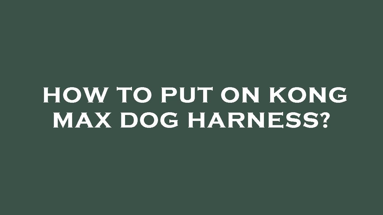 How To Put On Kong Max Dog Harness YouTube How to put on kong max dog harness youtube