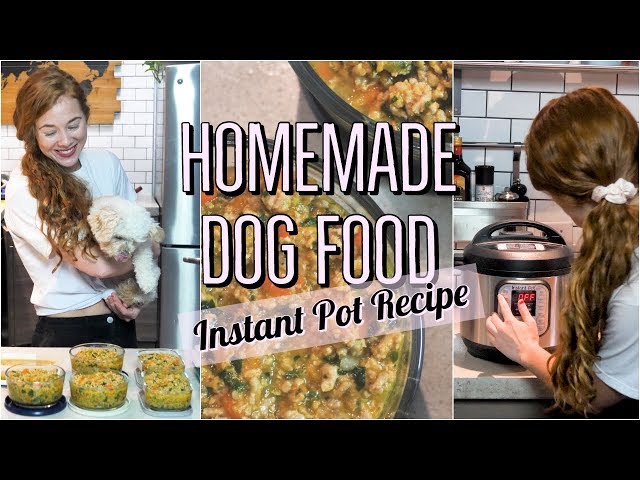 Healthy Homemade Dog Food Fast (with a pressure cooker) - The Tasting  Buds