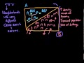 Understanding Neighborhood Dynamics and Crime