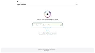 Connect Your Google Account on Aladia