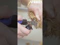 Mastering Dog Nail Clipping Like A Pro