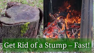 Get Rid of a Stump Fast