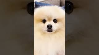 Como Ficou A Nossa Casa Do Lago?