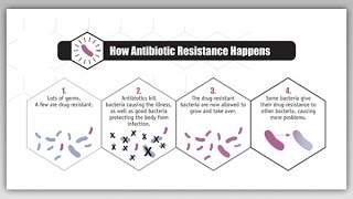 mcr-1 gene: An interview with Dr Judy Stone