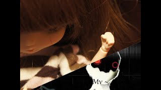 MV Pullip: Human Race