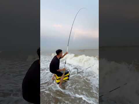 Mồi Câu Cá Mập #fishing #cauca #bdsh
