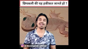 🤔 छिपकली की यह हकीकत जानते हो ? #shorts / Jasmin Patel / Easily Explained