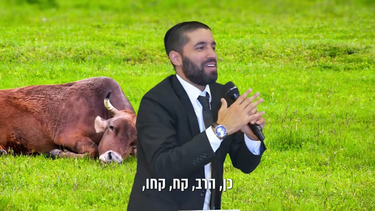 יהודי תרם את מיטב כספו לצדקה ולבסוף איבד את כל כספו, איך זה יכול להיות? - עם כתוביות בעברית