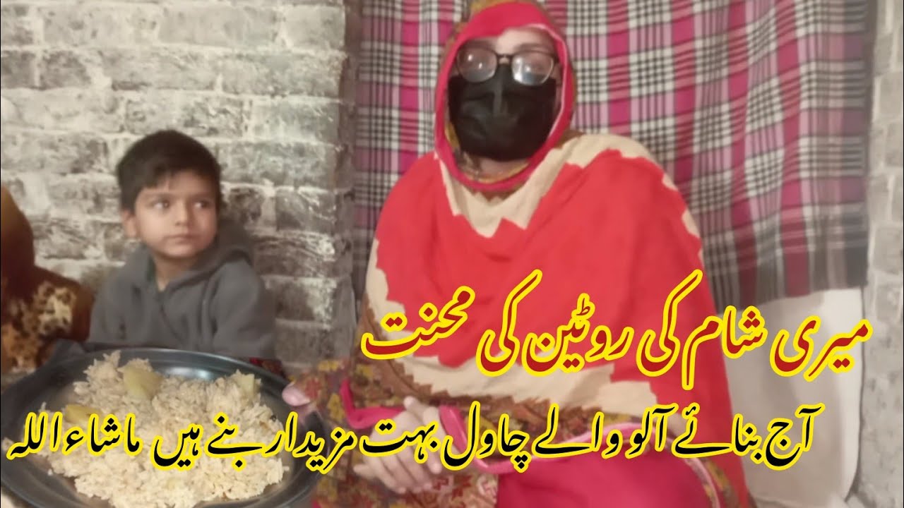 Mera Aaj Ka Din | Daily Routine Vlog | Zindagi Punjab Wergi