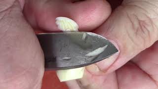Garlic slicing knife challenge part 2. Fixed blades