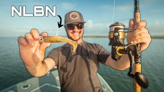 Catching Marsh Monsters with the GOLD NLBN 5 Swimbait