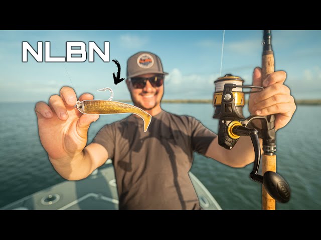 Catching Marsh Monsters with the GOLD NLBN 5 Swimbait!! 