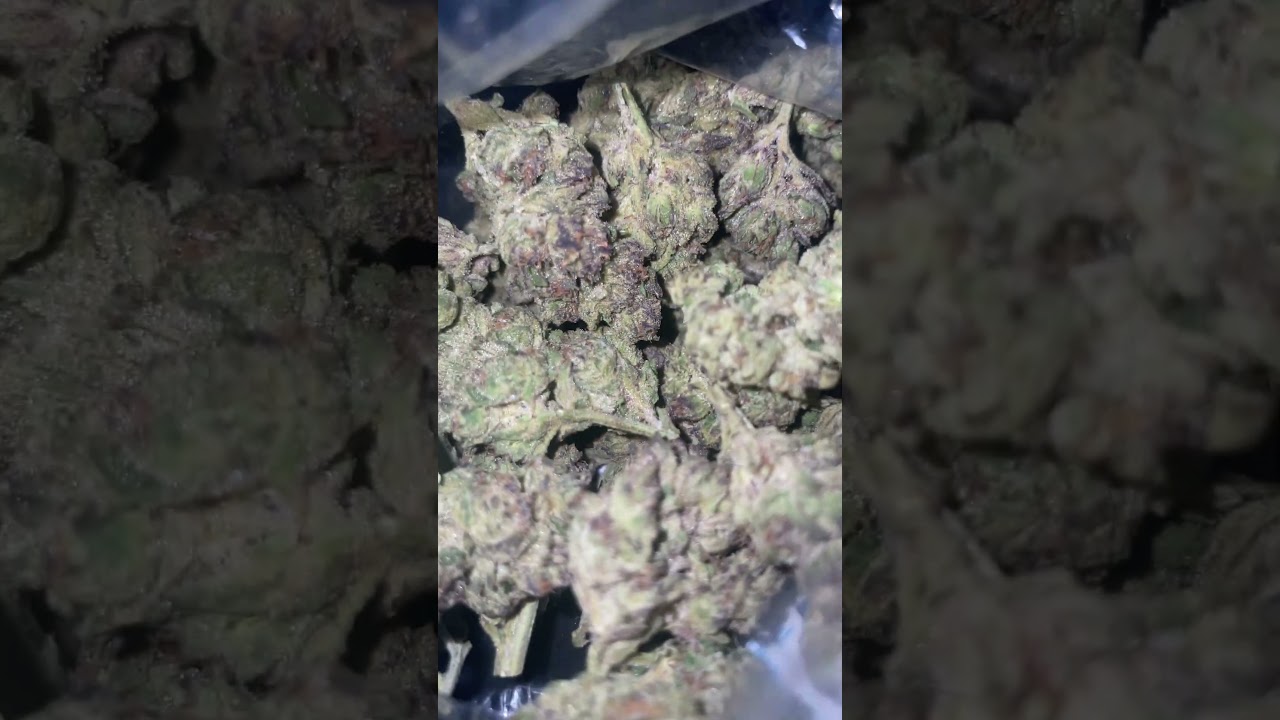 Jelly donut 🍩 from my fav myqwin.com 8/10 😛